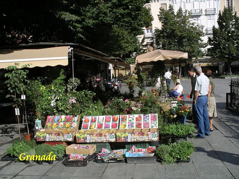 Andalusie 2008 331.jpg